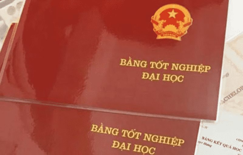 Nên Hay Không Nên Làm Bằng Đại Học Đà Lạt?