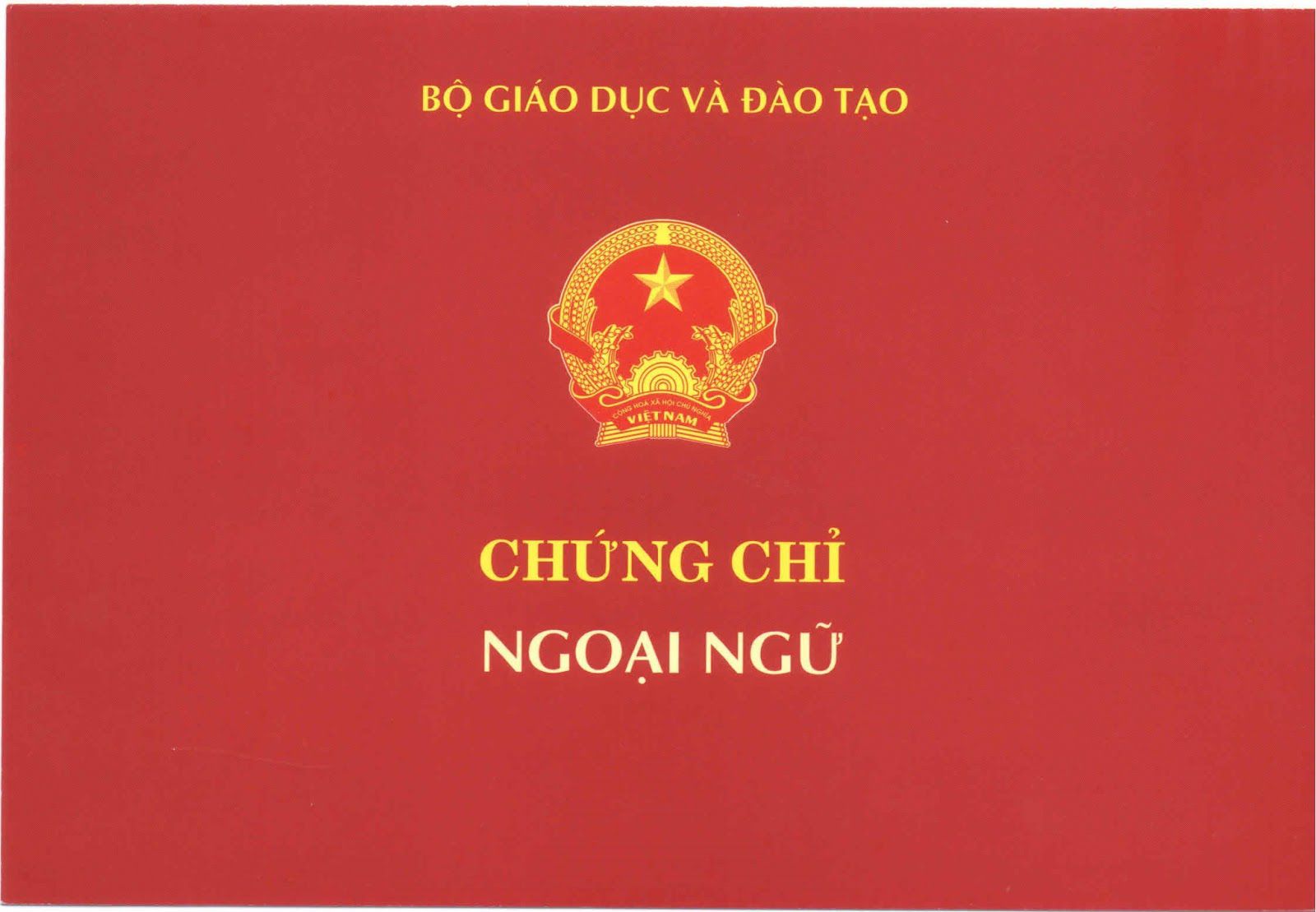 Mua bằng Anh văn Tin học TPHCM phôi thật chất lượng