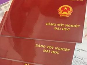Phân Biệt Bằng Đại Học Tại Chức - Giá Trị Văn Bằng Này Ra Sao ?