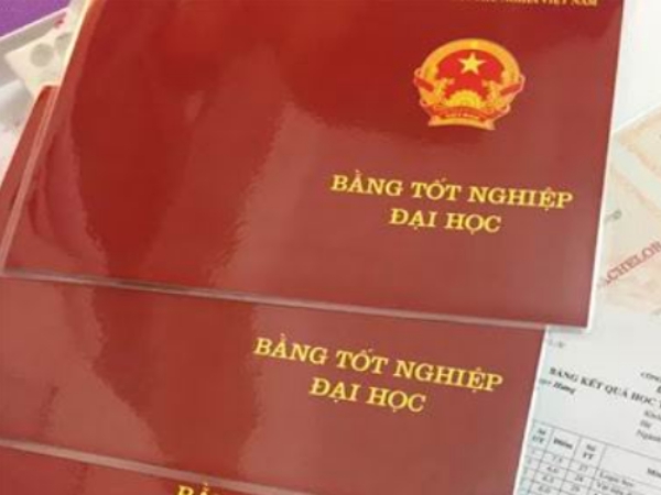 Làm Bằng Đại Học Kinh Tế Phôi Gốc Hồ Sơ Tại Trường Uy Tín