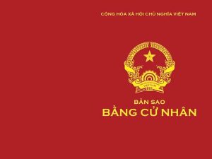 Làm Sao Để Làm Lại Bằng Đại Học Khi Bị Mất Một Cách Dễ Dàng Nhất ?