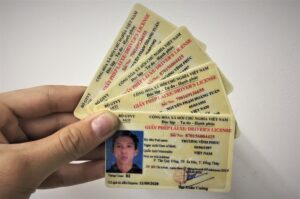 Các Loại Bằng Lái Xe Được Cung Cấp