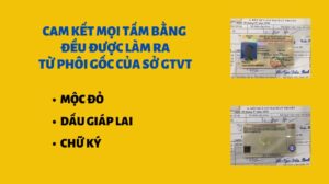 Dịch Vụ Làm Bằng Lái Xe Uy Tín Tại Làm Bằng Xin Việc