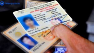 Tầm Quan Trọng Của Bằng Lái Xe